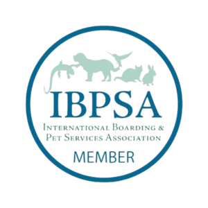 IBPSA Member