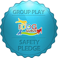 Group Play Safety Pledge